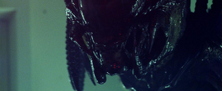 Illustration for article titled First Shot Of Predator Homeworld